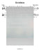 Ein Kelokeinu Lead Sheet (Shlomo Carlebach)-Sheet music-NoteWithGrace.com