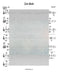 Ich Gleib Lead Sheet (Yingerlach) Album: Yingerlich Released 2018-Sheet music-NoteWithGrace.com