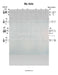 Ma Ashiv Lead Sheet (Shlomo Carlebach)-Sheet music-NoteWithGrace.com