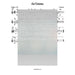Od Yishoma Lead Sheet (Traditional)-Sheet music-NoteWithGrace.com