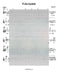 V'ata Kodosh Lead Sheet (Yingerlach) Album: Yingerlich Released 2018-Sheet music-NoteWithGrace.com