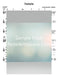 Yesimcha Elokim Lead Sheet (Shalsheles - Yitzchok Rosenthal) Album: Kumzitz In The Rain 5 - Junior-Sheet music-NoteWithGrace.com