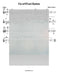Yisroel B'tach Bashem Lead Sheet (Shlomo Carlbach)-Sheet music-NoteWithGrace.com